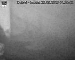 Capi_Dubne_20250525_012002.jpg