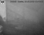 Capi_Dubne_20250525_014003.jpg