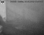 Capi_Dubne_20250525_015002.jpg