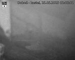 Capi_Dubne_20250525_020502.jpg