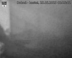 Capi_Dubne_20250525_022502.jpg
