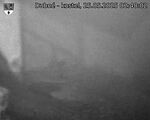 Capi_Dubne_20250525_024002.jpg