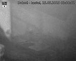 Capi_Dubne_20250525_030002.jpg