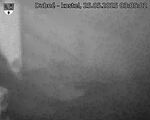 Capi_Dubne_20250525_030502.jpg