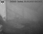 Capi_Dubne_20250525_031002.jpg