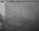 Capi_Dubne_20250525_031502.jpg