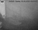 Capi_Dubne_20250525_032002.jpg