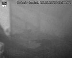 Capi_Dubne_20250525_033002.jpg