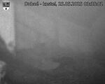 Capi_Dubne_20250525_033502.jpg