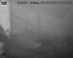 Capi_Dubne_20250525_034003.jpg