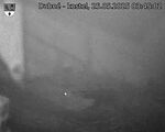 Capi_Dubne_20250525_034502.jpg