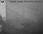 Capi_Dubne_20250525_035002.jpg