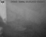 Capi_Dubne_20250525_035502.jpg