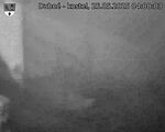 Capi_Dubne_20250525_040003.jpg