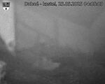 Capi_Dubne_20250525_040503.jpg