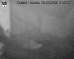 Capi_Dubne_20250525_041002.jpg