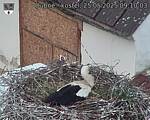 Capi_Dubne_20250525_091003.jpg
