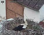 Capi_Dubne_20250525_091503.jpg