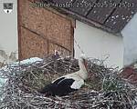 Capi_Dubne_20250525_092503.jpg