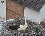 Capi_Dubne_20250525_094503.jpg