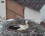 Capi_Dubne_20250525_095503.jpg
