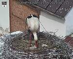 Capi_Dubne_20250525_101503.jpg