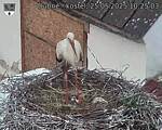 Capi_Dubne_20250525_102503.jpg
