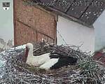Capi_Dubne_20250525_103002.jpg