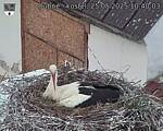 Capi_Dubne_20250525_104003.jpg