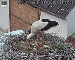 Capi_Dubne_20250525_112503.jpg