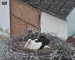 Capi_Dubne_20250525_113504.jpg