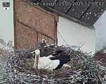 Capi_Dubne_20250525_120002.jpg
