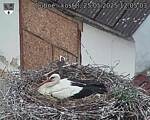 Capi_Dubne_20250525_120503.jpg
