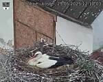Capi_Dubne_20250525_121003.jpg