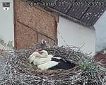 Capi_Dubne_20250525_125503.jpg