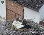 Capi_Dubne_20250525_130003.jpg