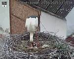 Capi_Dubne_20250525_131504.jpg