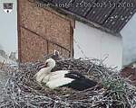 Capi_Dubne_20250525_132003.jpg