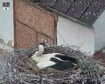 Capi_Dubne_20250525_133503.jpg