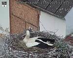 Capi_Dubne_20250525_134503.jpg