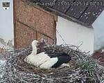 Capi_Dubne_20250525_140003.jpg