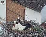 Capi_Dubne_20250525_140503.jpg