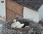 Capi_Dubne_20250525_141002.jpg