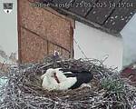 Capi_Dubne_20250525_141504.jpg