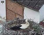 Capi_Dubne_20250525_143003.jpg