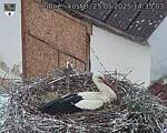 Capi_Dubne_20250525_143503.jpg