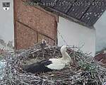 Capi_Dubne_20250525_144503.jpg