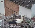 Capi_Dubne_20250525_145004.jpg