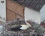 Capi_Dubne_20250525_145503.jpg