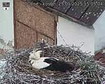 Capi_Dubne_20250525_150504.jpg